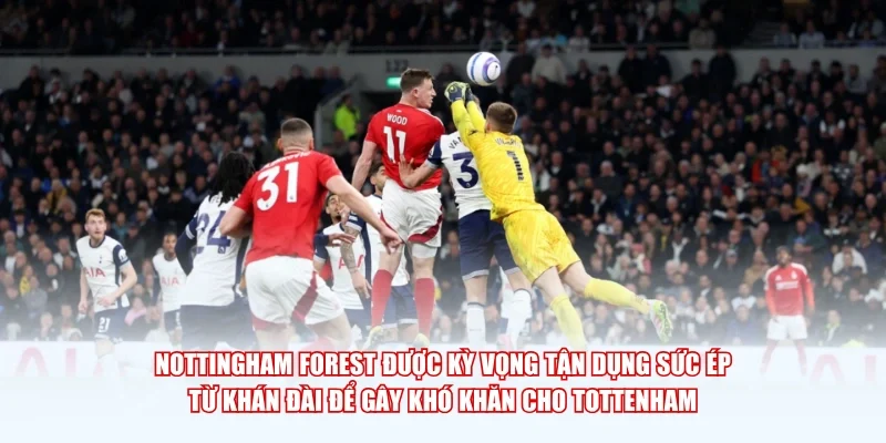 Nottingham Forest được kỳ vọng tận dụng sức ép từ khán đài để gây khó khăn cho Tottenham.